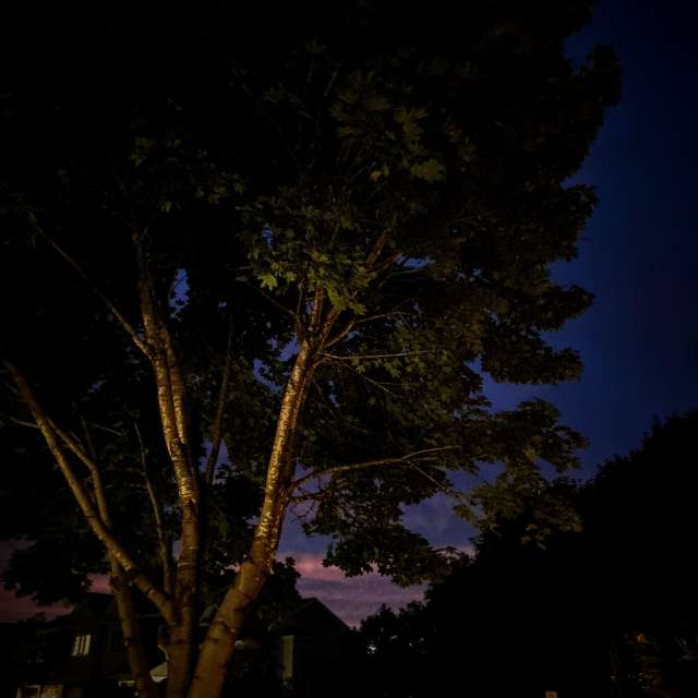 Young. Weather forecasts with beautiful photos by Lulu5523 Photos in le Plateau