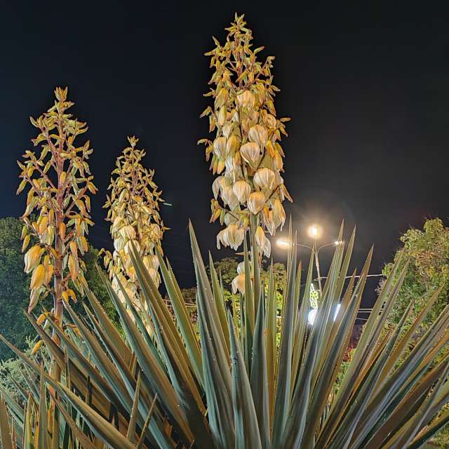 Wettervorhersagen mit schönen Fotos von Albert_Smelovtsev