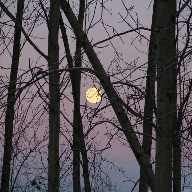 Weather forecasts with beautiful photos by urubu