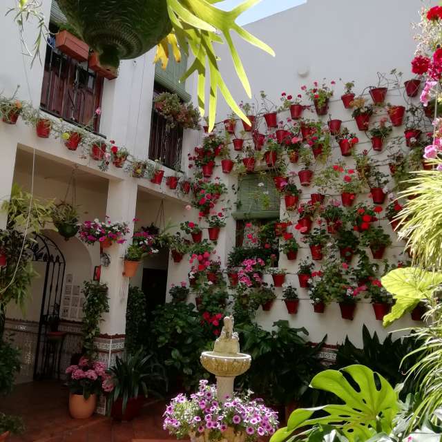 Weather forecasts with beautiful photos by Juanma