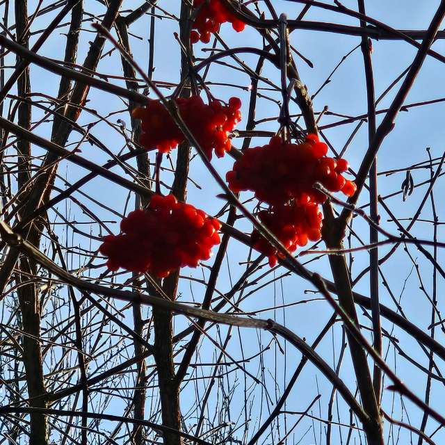 Tower. Weather forecasts with beautiful photos by Seni Photos in Velbert