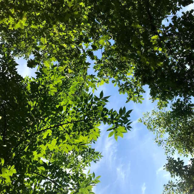 Weather forecasts with beautiful photos by yuliia88888888