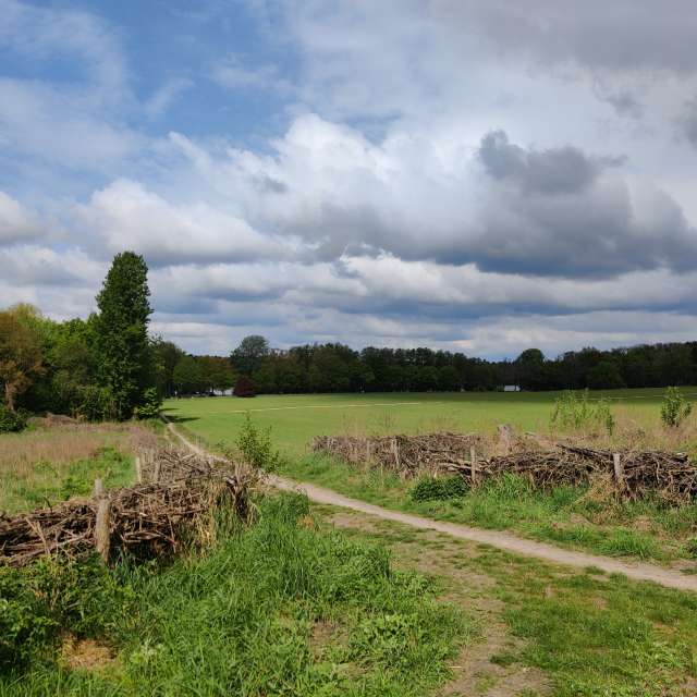 Fotos Abordado. Previsões do tempo com lindas fotos de Zorrra em Kladow
