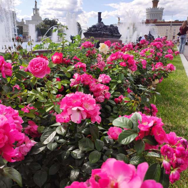 Weather forecasts with beautiful photos by nika_toria