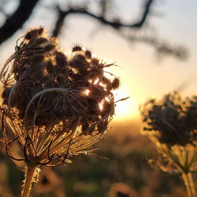 Weather forecasts with beautiful photos by DaB