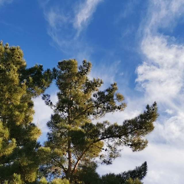 Wettervorhersagen mit schönen Fotos von nox