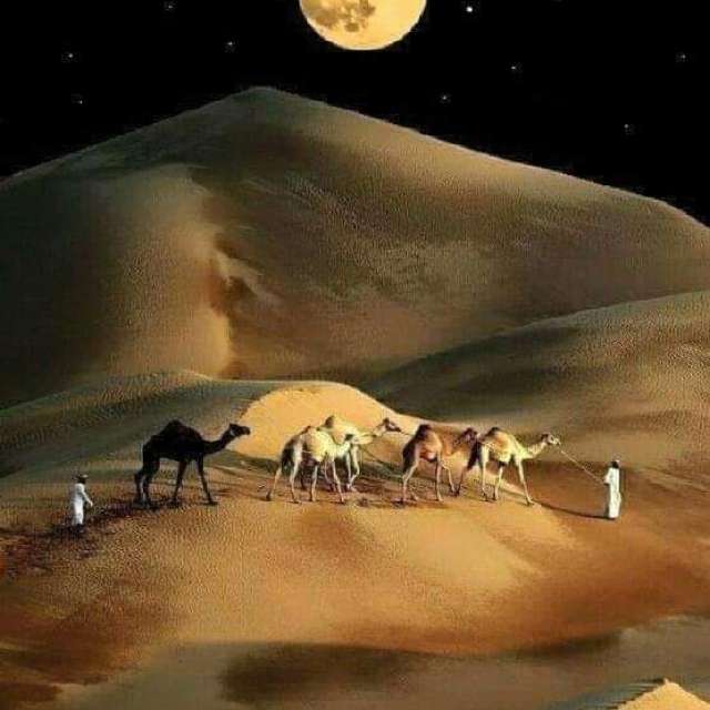 Pronósticos del tiempo con hermosas fotos de ku8_55