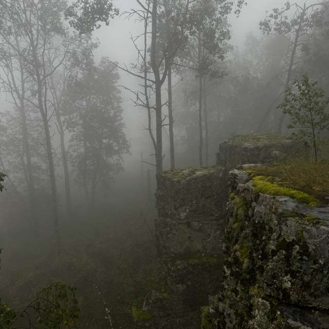 Fotos sobre el clima en Mercado. Pronósticos del tiempo con hermosas fotos de Tetolive