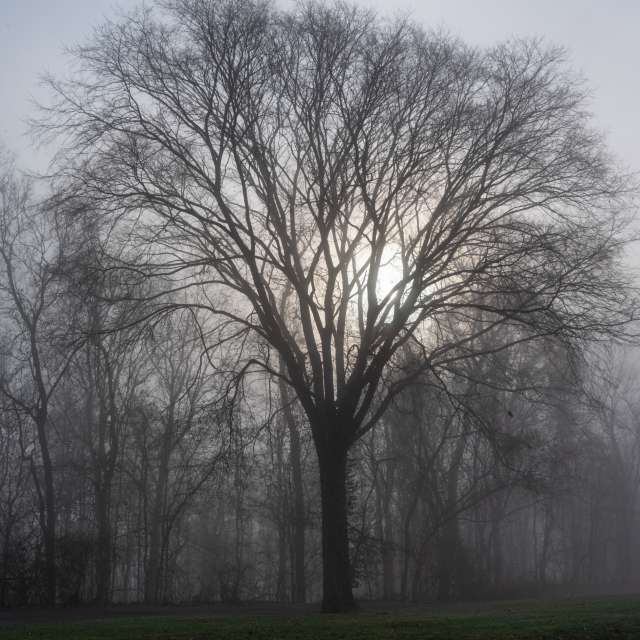 krantzjhの美しい写真による天気予報