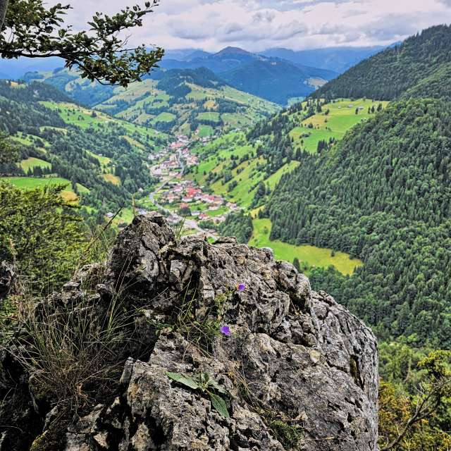 Pronósticos del tiempo con hermosas fotos de Liceul Industrial Busteni