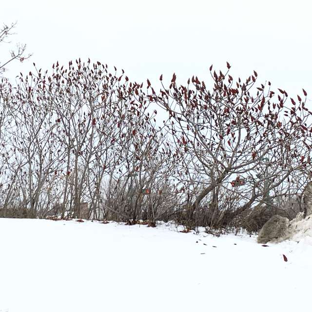Man. Weather forecasts with beautiful photos by Lulu5523 Photos in le Plateau