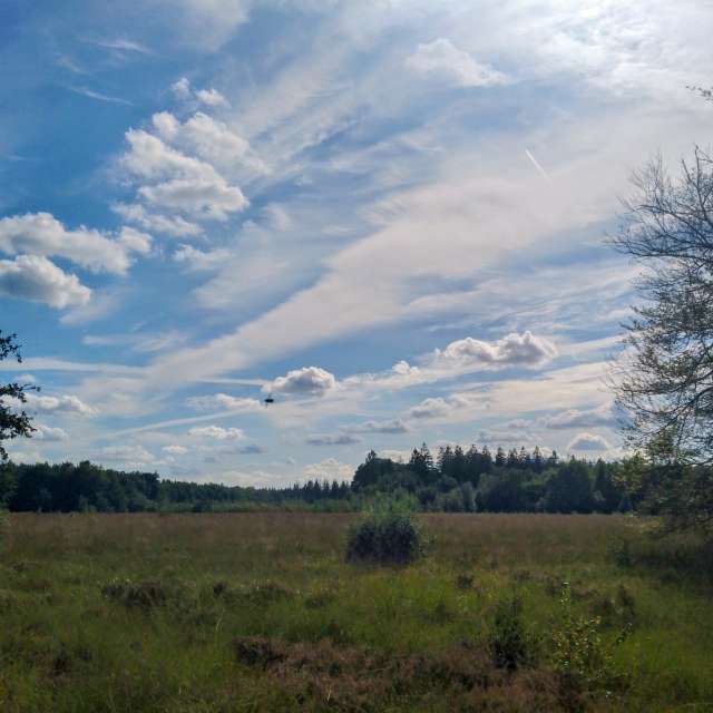 Glasmanの美しい写真による天気予報