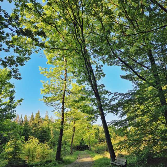 Pronósticos del tiempo con hermosas fotos de TylerDurden