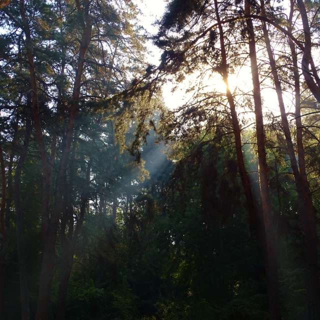 Standing. Weather forecasts with beautiful photos by Михаил Гавриков Photos in Kharkiv