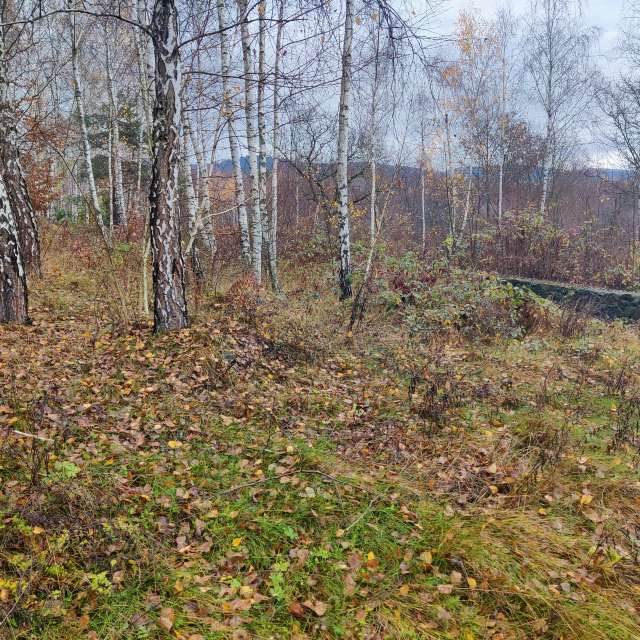 Pasture. Weather forecasts with beautiful photos by Hillfather Photos in World