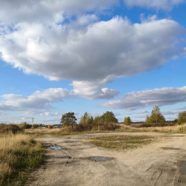 duck102の美しい写真による天気予報