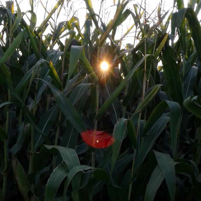 Large. Weather forecasts with beautiful photos by urashm Photos in Khmelnytskyi