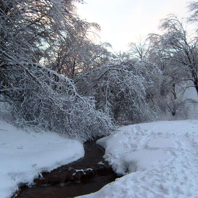 Weather. Weather forecasts with beautiful photos by Vch Photos in Moscow