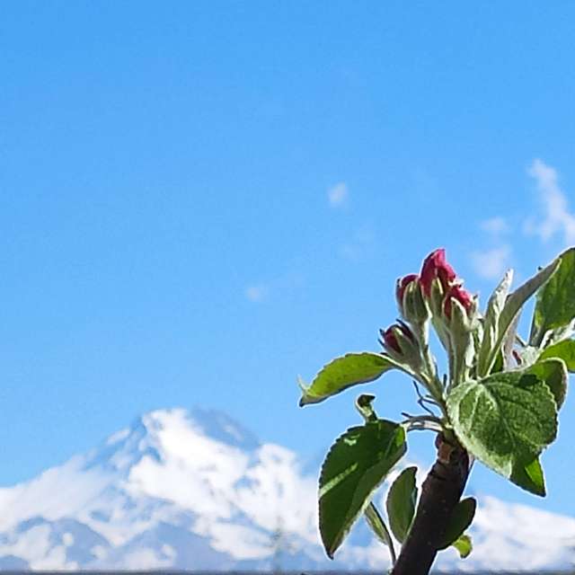 Blau. Wettervorhersagen mit schönen Fotos von Hayri_emre Fotos Kayseri