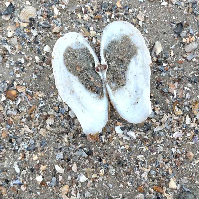 Pronósticos del tiempo con hermosas fotos de Richtoldi