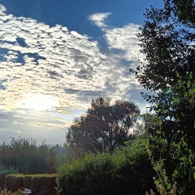 Previsões do tempo com lindas fotos de Muschelschloss