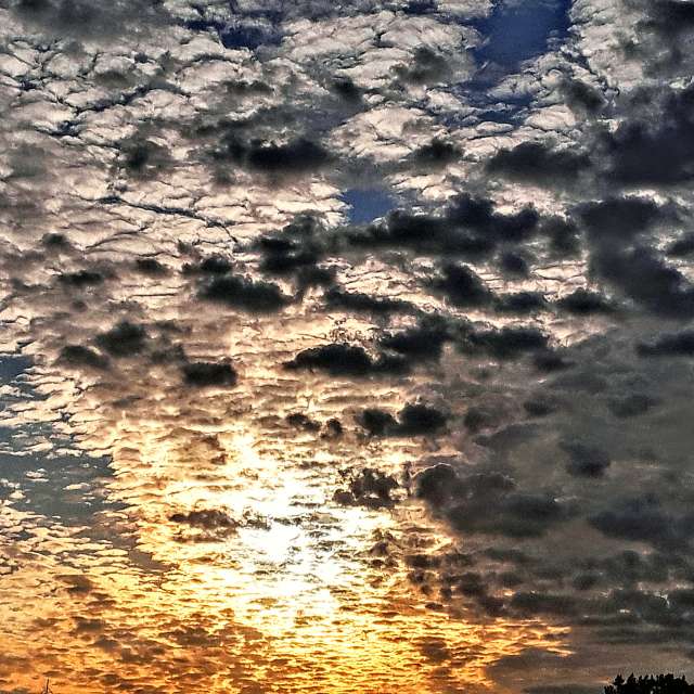 Bird. Weather forecasts with beautiful photos by Wiesiek Photos in Gdansk