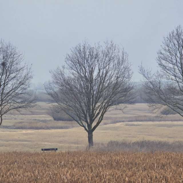 Helaの美しい写真による天気予報