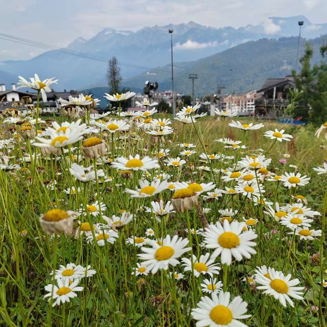 Prévisions météo avec de superbes photos de Albert_Smelovtsev