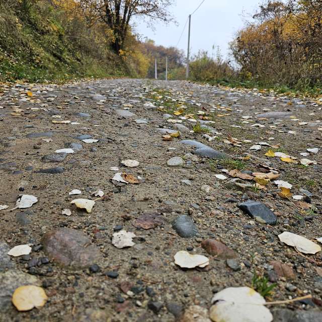 Fotos Abordado. Previsões do tempo com lindas fotos de Chizh em Almaty