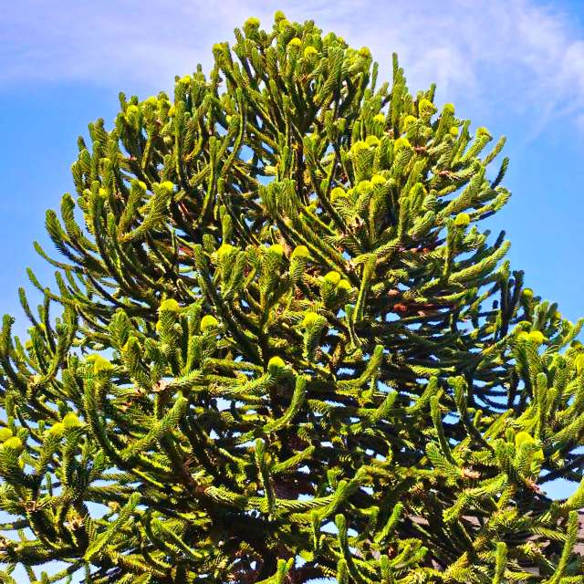 Fotos Mulher. Previsões do tempo com lindas fotos de Seni em Velbert