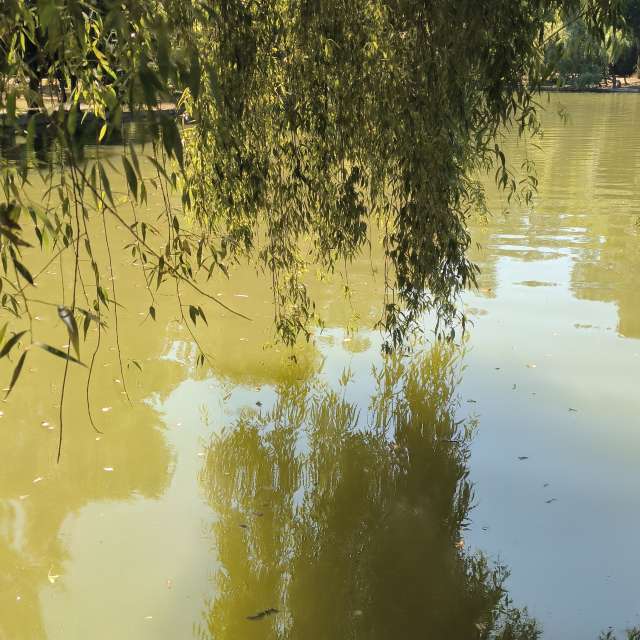 Fotos del Motocicleta. Pronósticos del tiempo con hermosas fotos de YanBog en București