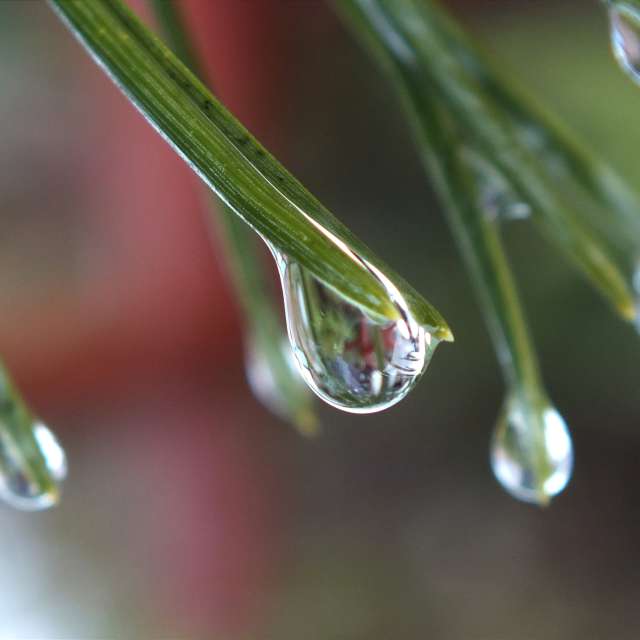 Photos Pluie. Prévisions météo avec de superbes photos de Miloš_SK de Sereď