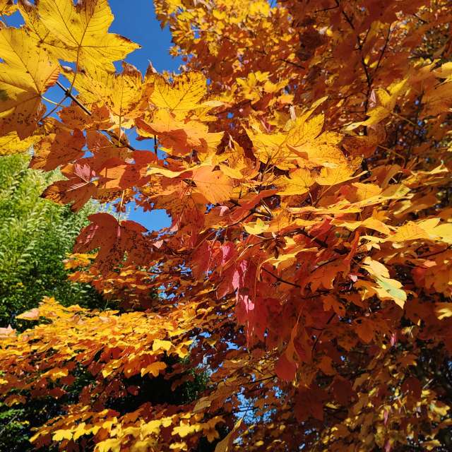 Fotos do tempo em Mundo. Previsões do tempo com lindas fotos de drollted