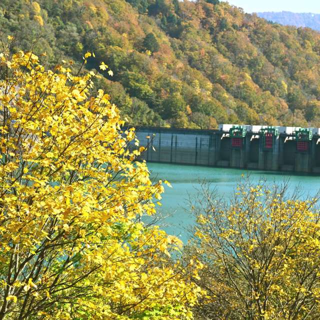 Weather forecasts with beautiful photos by yoshy