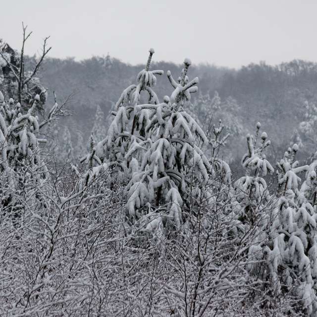 Group. Weather forecasts with beautiful photos by Tomulus64 Photos in World