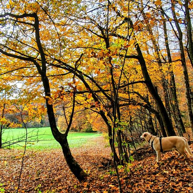 Weather forecasts with beautiful photos by Anamarija