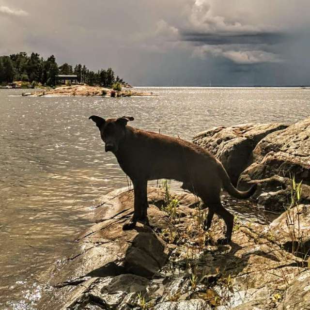 天气预报，带19Jeanette71精美的照片