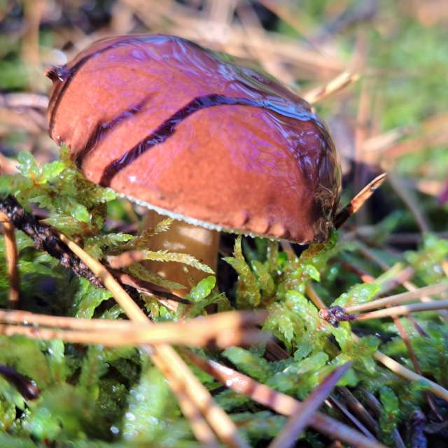 Прогнозы погоды с чудесными фотографиями, сделанными Arturo