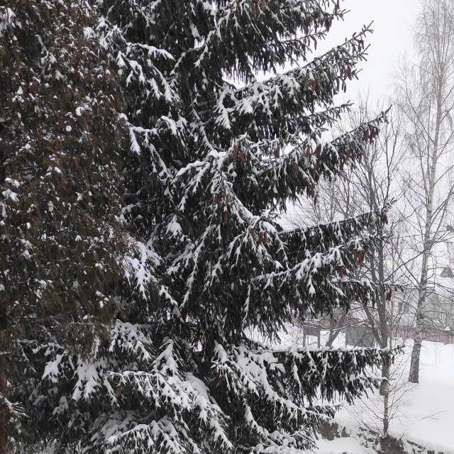 Kreuzen. Wettervorhersagen mit schönen Fotos von Kripo Fotos Ladek Zdroj