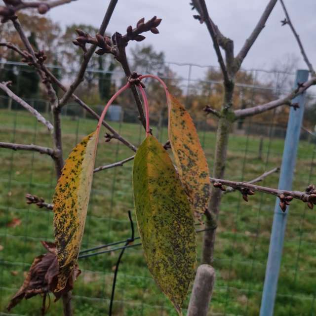 Прогнозы погоды с чудесными фотографиями, сделанными YanMir