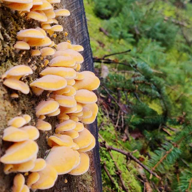 Прогнозы погоды с чудесными фотографиями, сделанными Karsten Wo