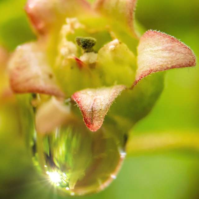 Weather forecasts with beautiful photos by G_3233