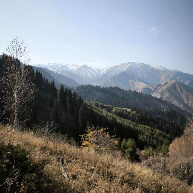 Fotos Colina. Previsões do tempo com lindas fotos de Владимир Екименко em Almaty
