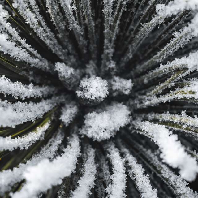 Weather forecasts with beautiful photos by RobertNagaj