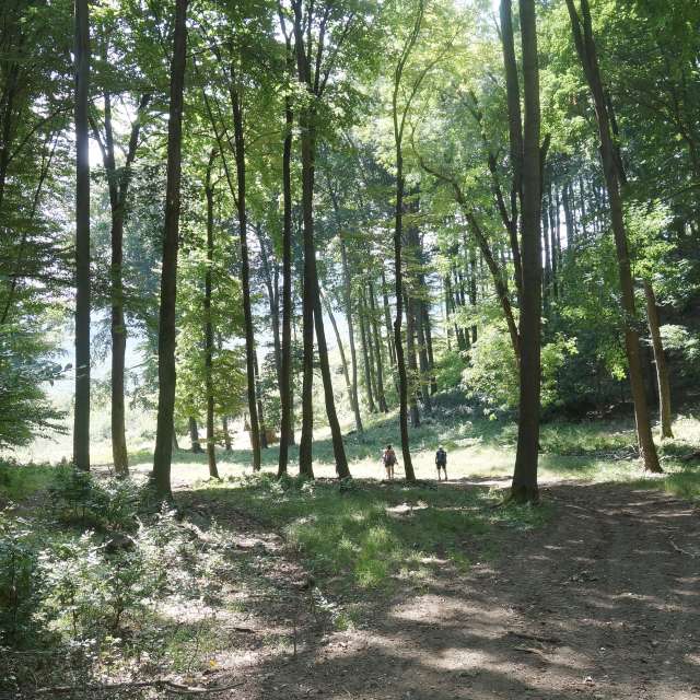 Weather forecasts with beautiful photos by steve2025s