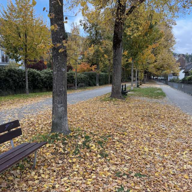 Photos Rue. Prévisions météo avec de superbes photos de SwissEloi de Bienne