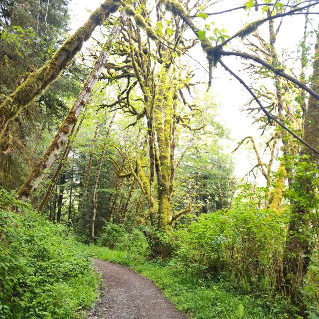 Weather forecasts with beautiful photos by Pilgrimfriend