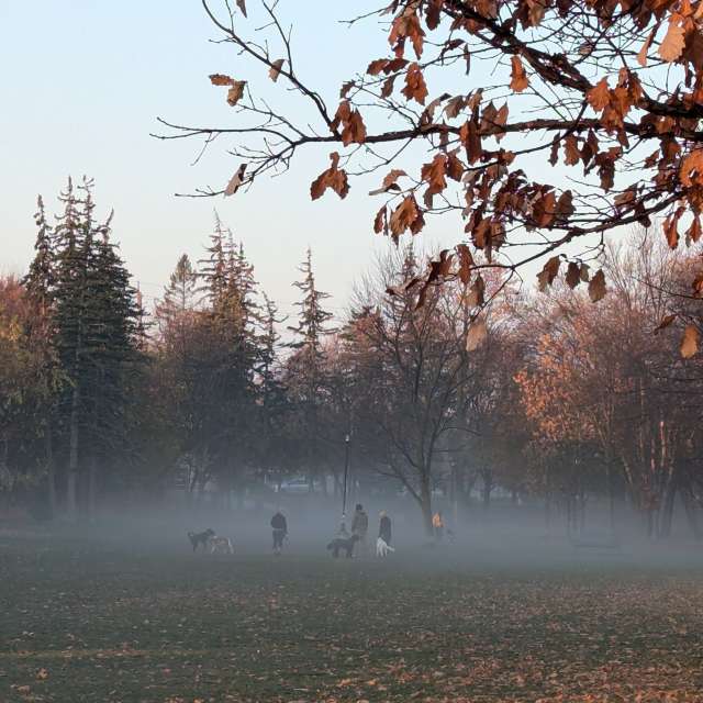 天气预报，带Lennard精美的照片