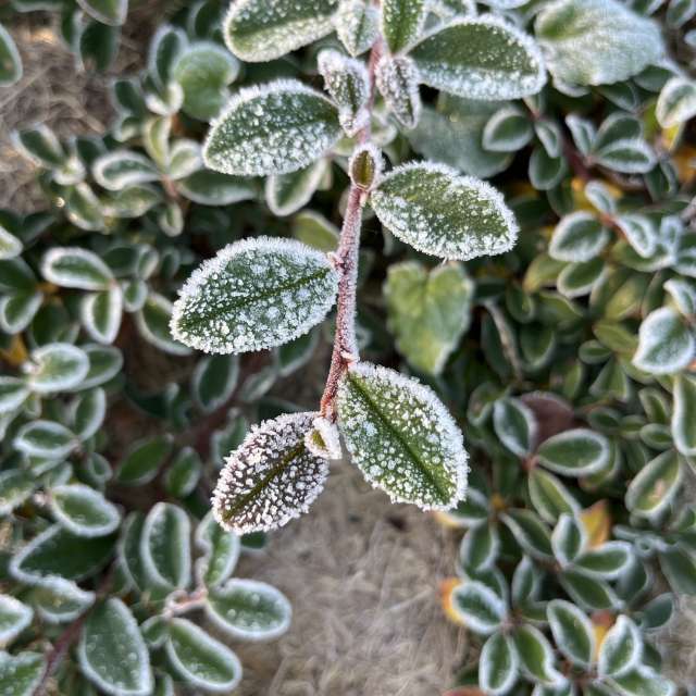 Teshkovo的Weather. 天气预报，带Stassy精美的照片照片