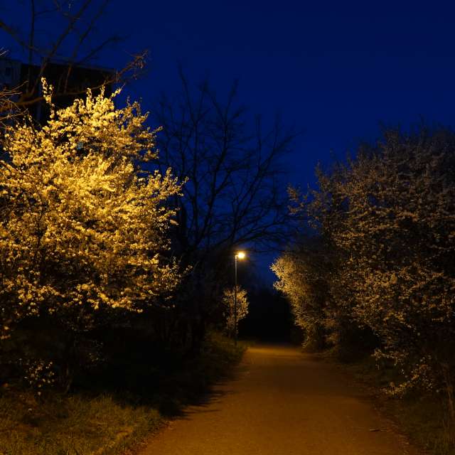 Fotos Luz. Previsões do tempo com lindas fotos de Vasek325 em Praha 12